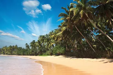 Sri Lanka's Scenic Splendours