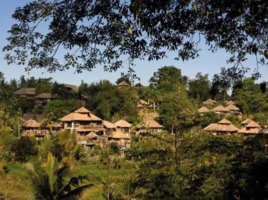 PayoganVillaResortandSpa Villas