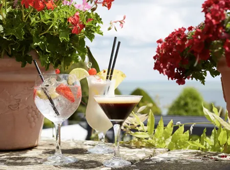 Cocktailsinthegardens