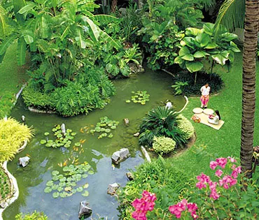 Shangri LaTanjungAruGarden