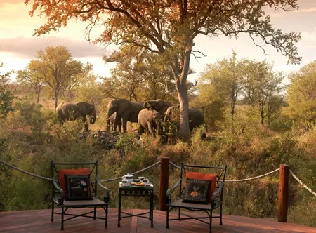 Hoyo Hoyo Safari LodgeView from main deck