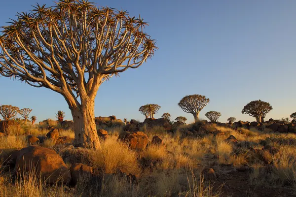 Namibia holidays