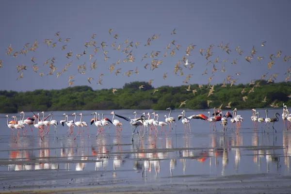 Ajman holidays