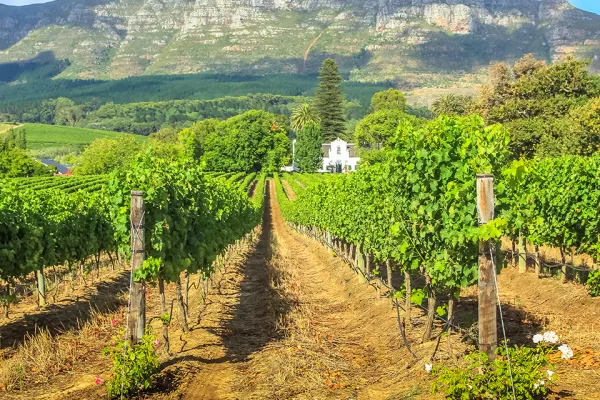 South Africa holidays