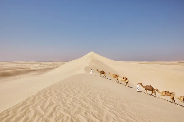 Qatar holidays