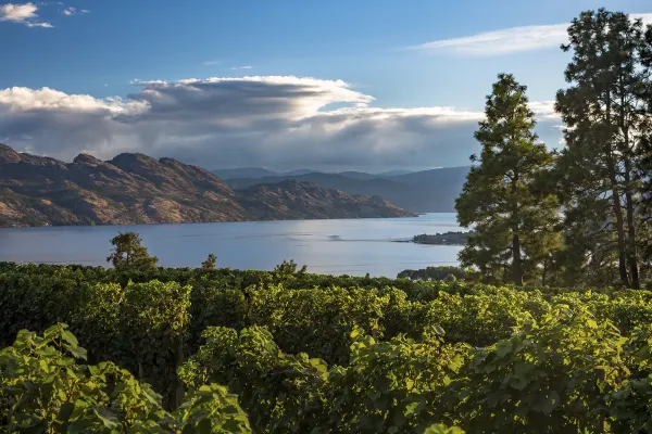 Rest of British Columbia holidays