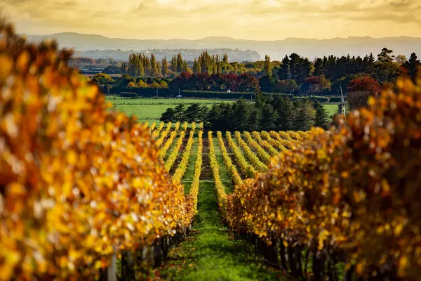 North Island holidays