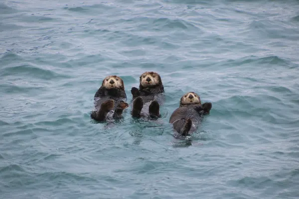 Alaska holidays