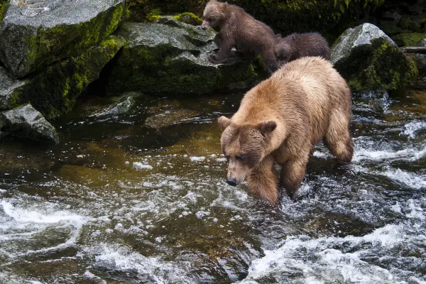 Alaska holidays