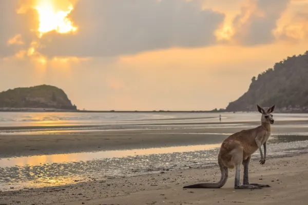 Central Queensland &amp; Whitsundays holidays