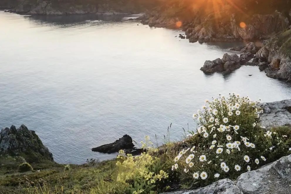 Visit Channel Islands: Jersey & Guernsey Holidays & Breaks