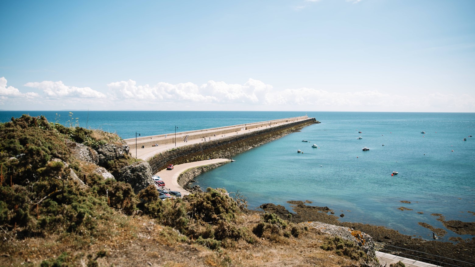 Coastal Jersey Channel Islands Direct