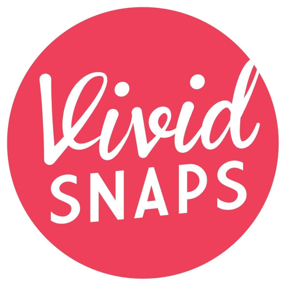 Vivid Snaps LLP logo