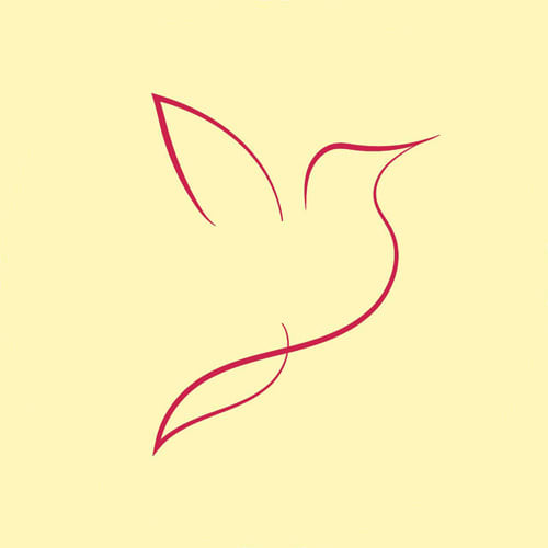 Parwaz logo