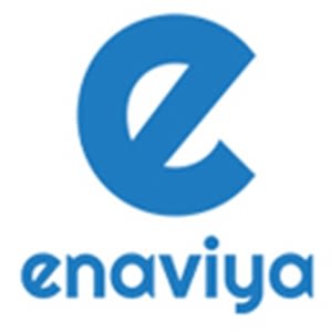 Enaviya Information Technologies logo