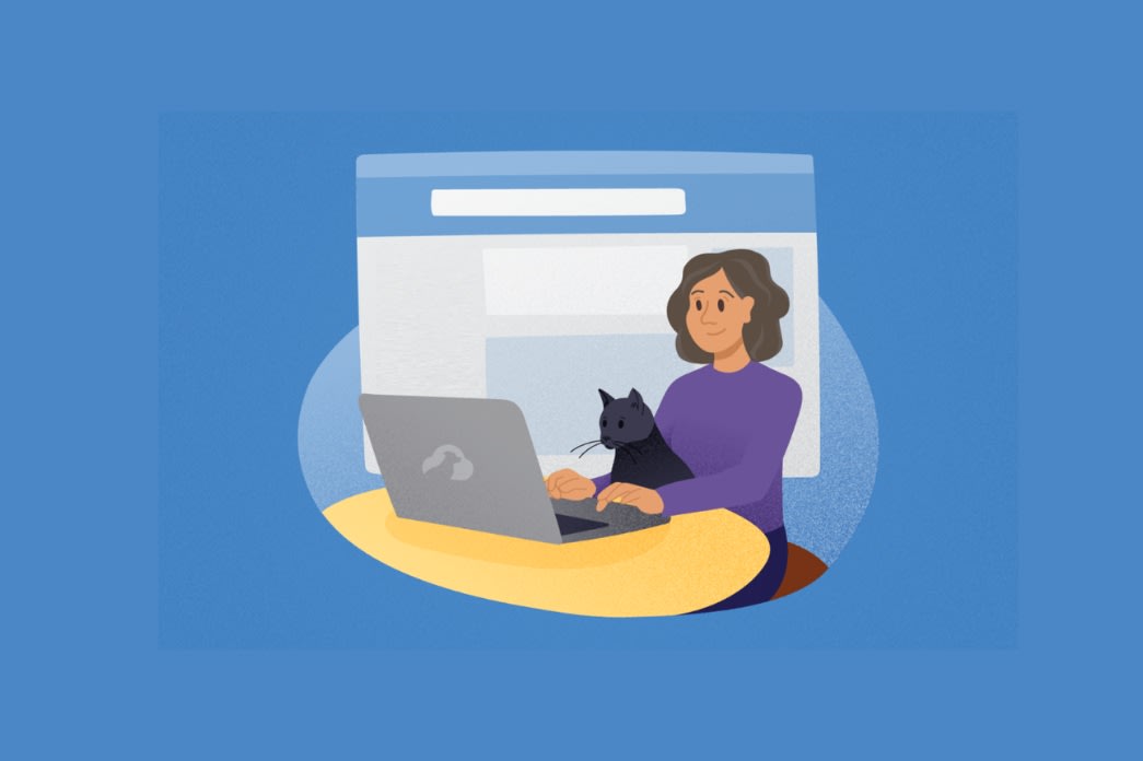 Top Citation Sites for Pet Services