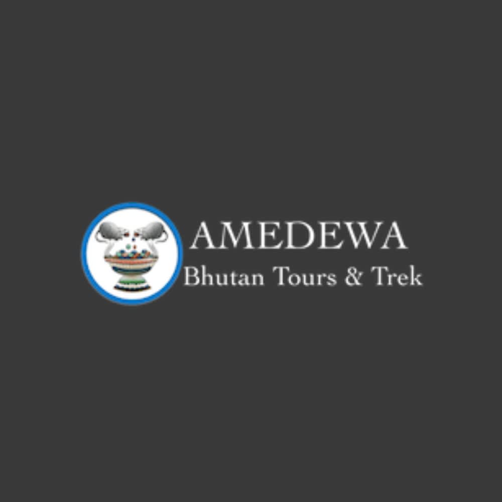 Amedewa Tours & Trek logo