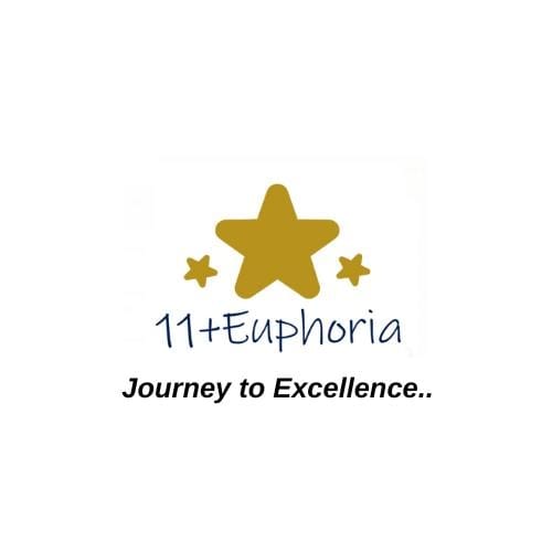 Eleven plus Euphoria logo