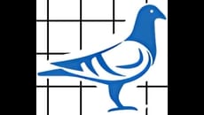 Pigeon Net installation Service in Kathmandu logo