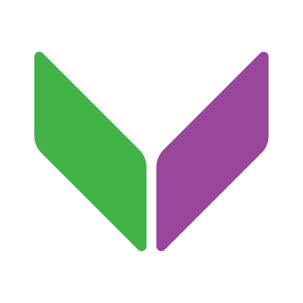 Viva Money logo