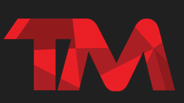 Techminds Mizago Technology Pvt Ltd logo