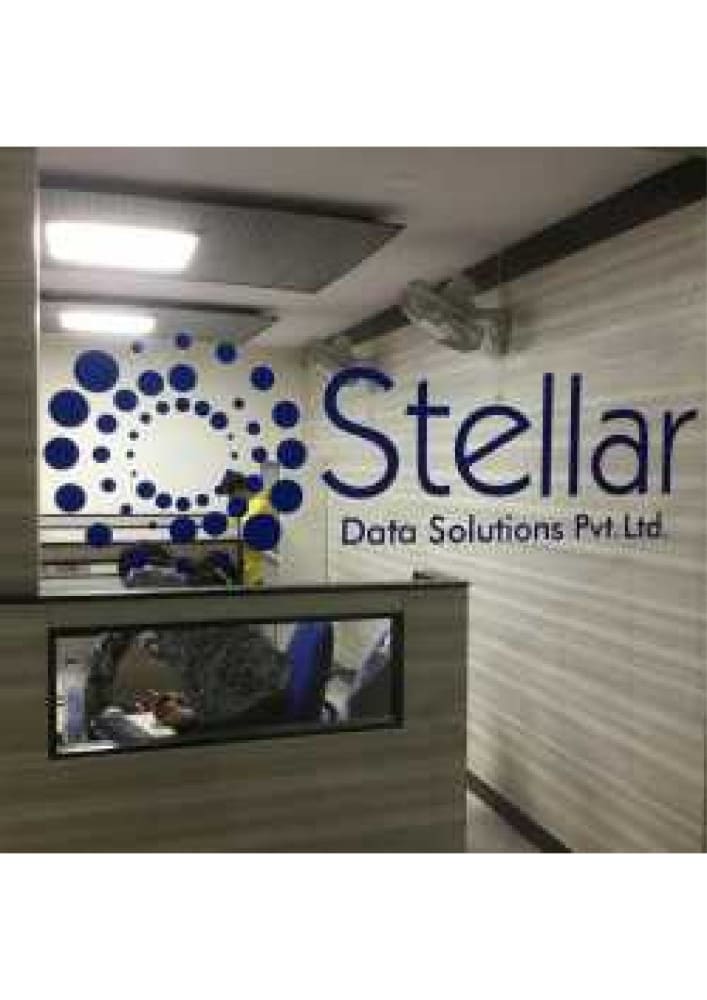 Stellar Data Solutions Pvt Limited logo