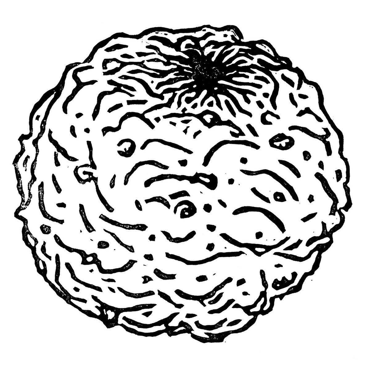 ANUS records cover pic