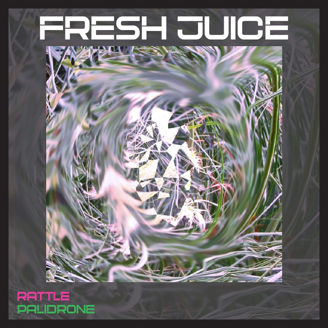 FRESH JUICE: Rattle by Palidrone