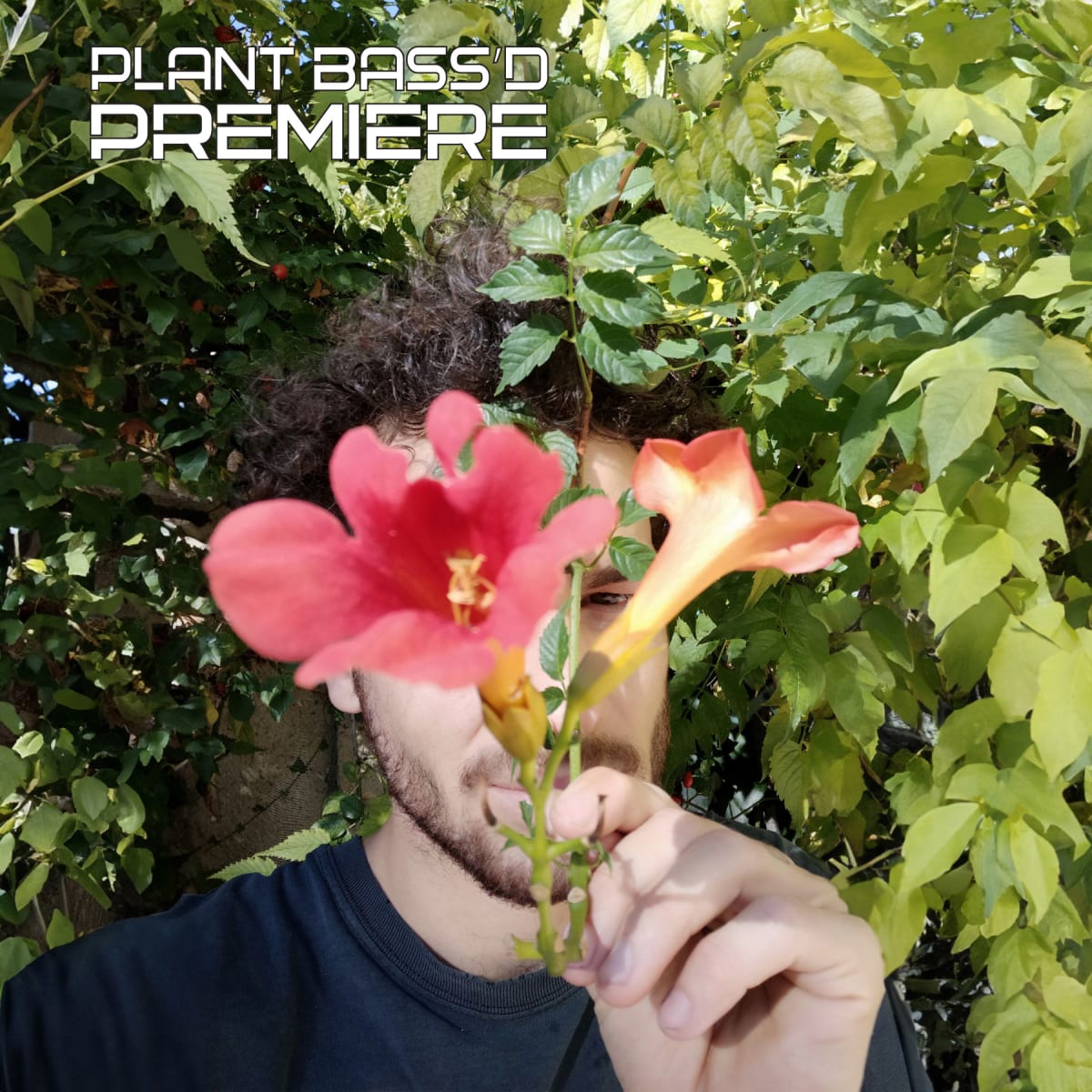 PREMIERE: 'Cosi' by Dites Safran