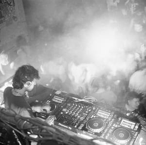 DJ Petfood