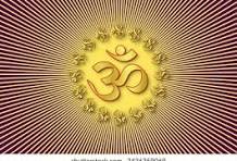 Brijesh Test