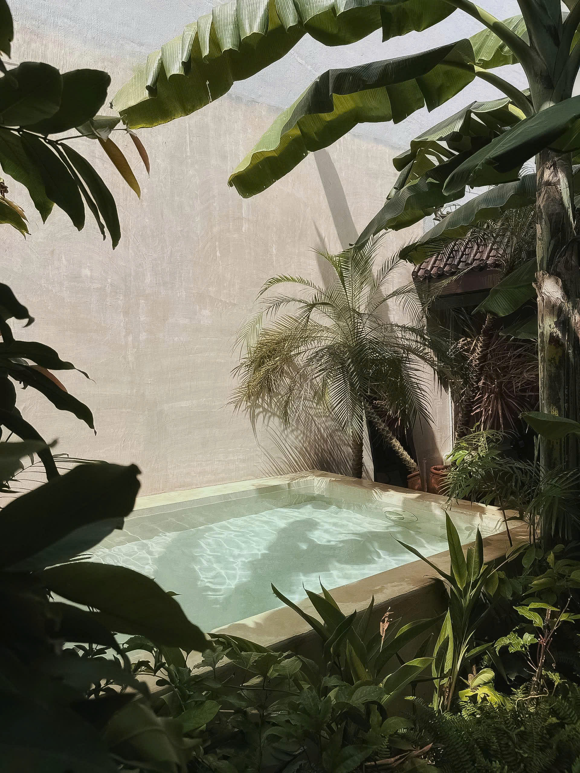 Ambergris Garden Pool House