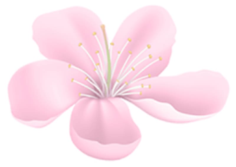 Flower Left