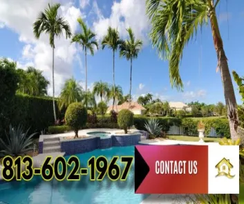 Contact Tampa Bay Premier Realty