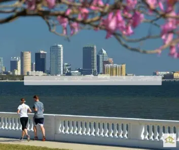 Tampa Florida