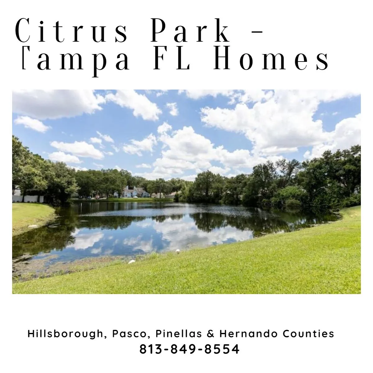 Citrus Park Homes for Sale