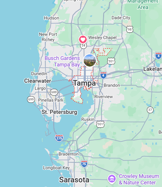 Tampa Bay Luxury Real Estate Market Overview
