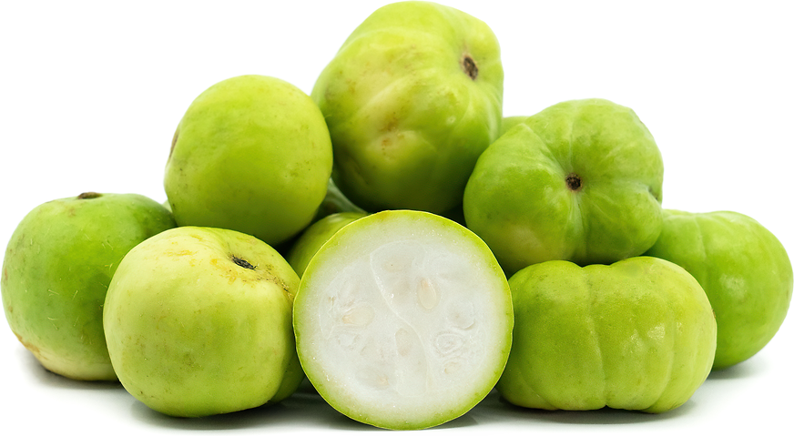 Round Gourd (ٹینڈا) 1kg