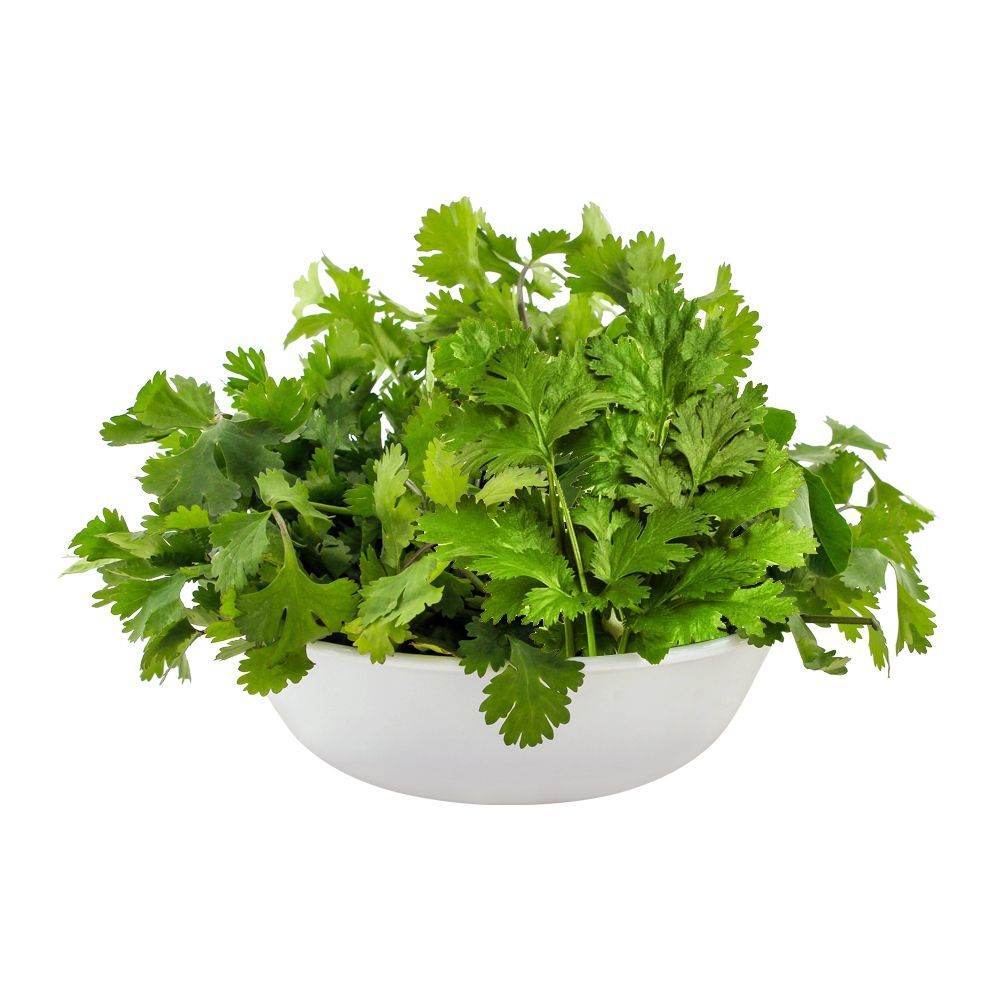 Coriander (دھنیا) 1 bunch