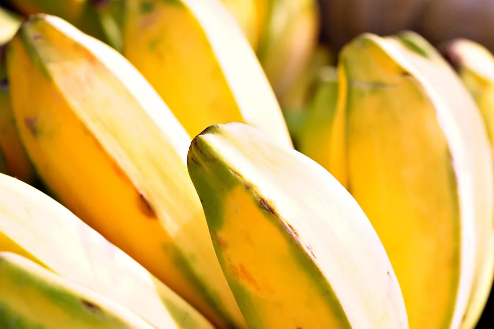 Banana 1 dozen