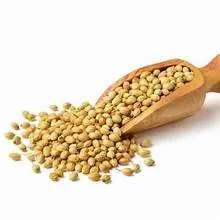Coriander Seeds (ثابت دھنیا) 200g