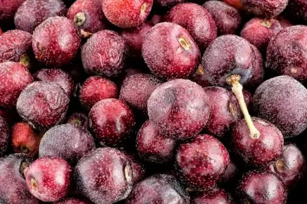Falsa 1kg