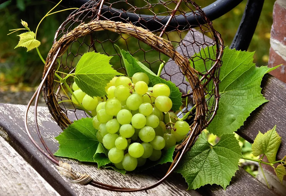 Grapes 1kg
