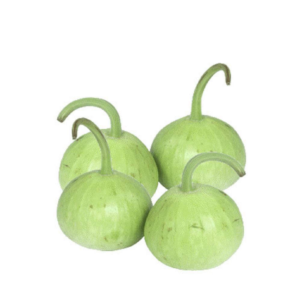 Pumpkin (کدو) 1kg