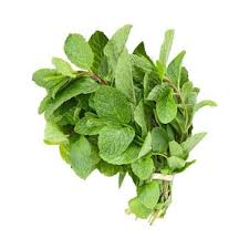 Mint (پودینہ) 1 bunch