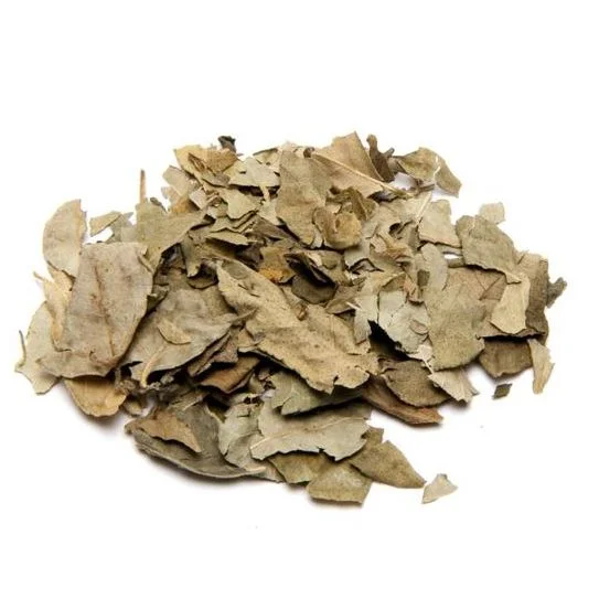 Curry Leaves (کڑی پتہ)