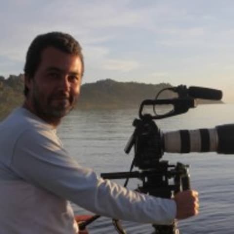 Profile photo of Luis P.