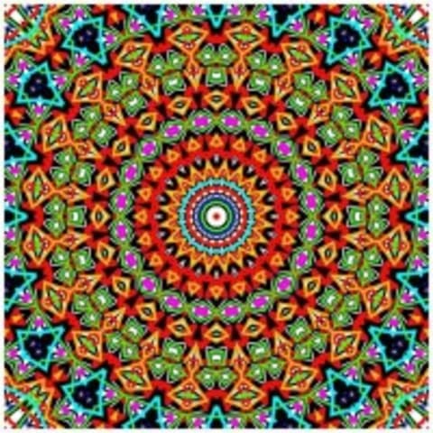 Profile photo of Erin M.