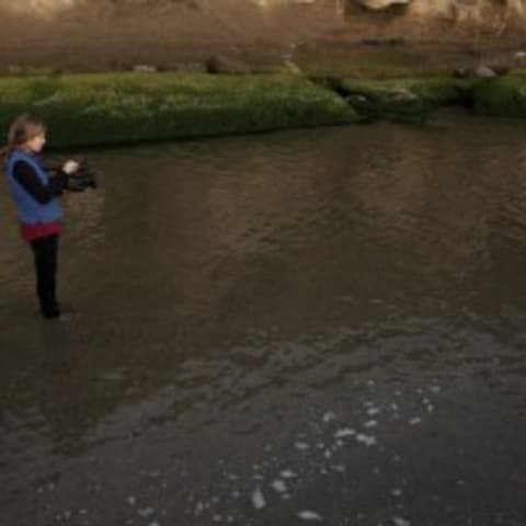 Profile photo of Bridgette A.