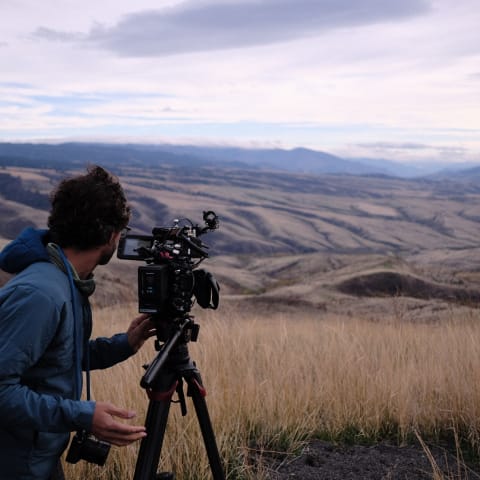 Profile photo of David A.